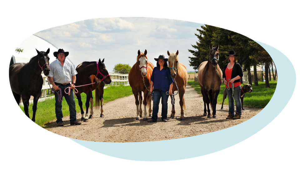 Several people stand with horses on a gravel path in a rural setting.
