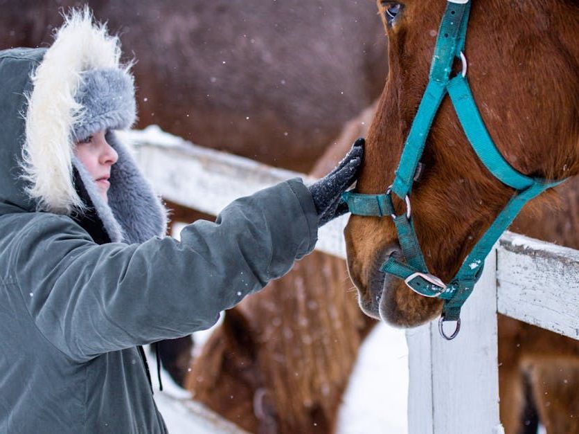 Person in a gray parka pets a brown horse with a turquoise halter in a snowy stableyard