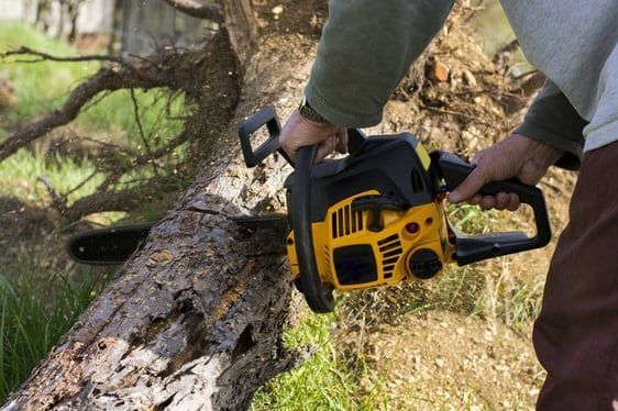 Tree And Stump Removal