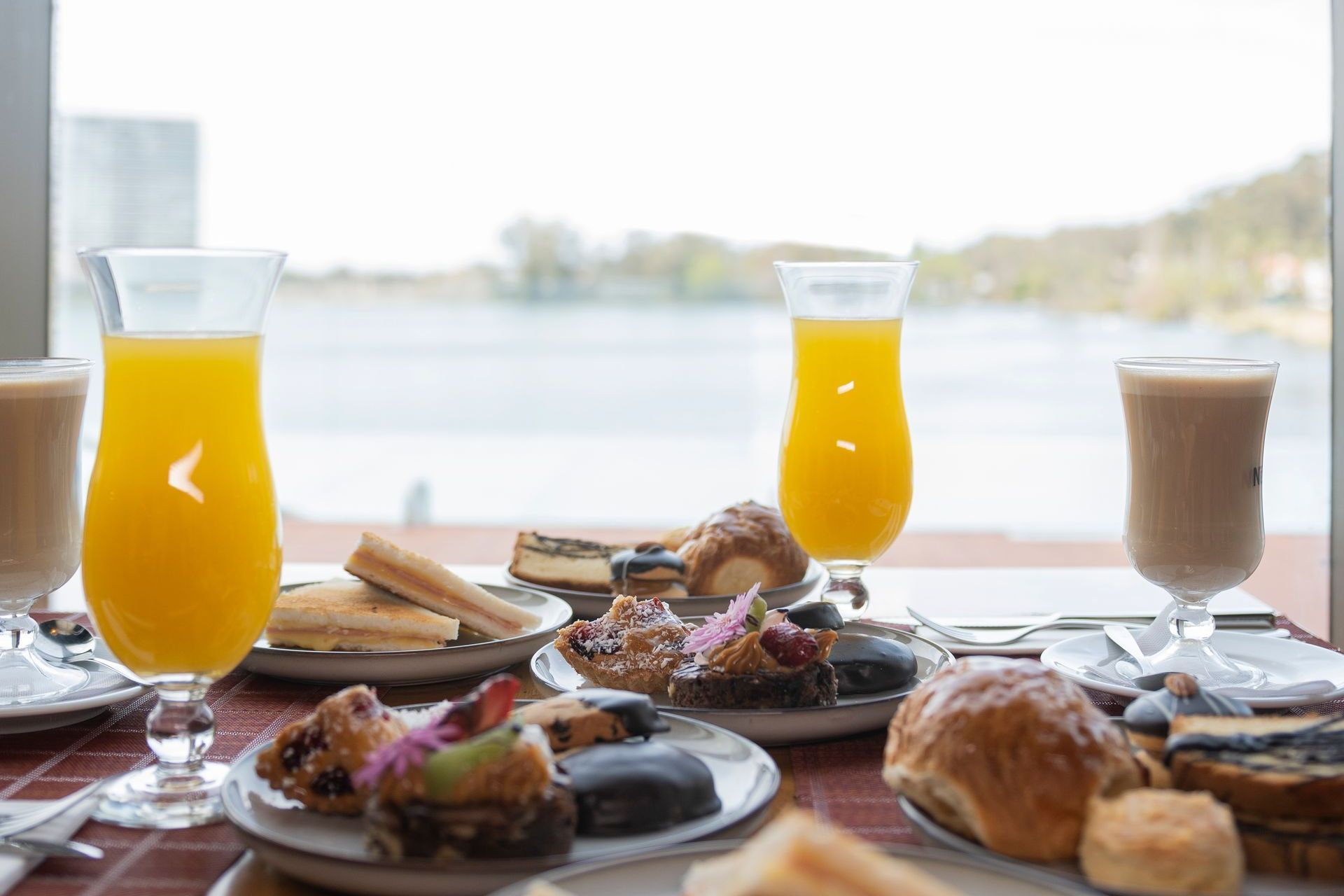 Un grupo de personas están sentadas alrededor de una mesa brindando con bebidas.
