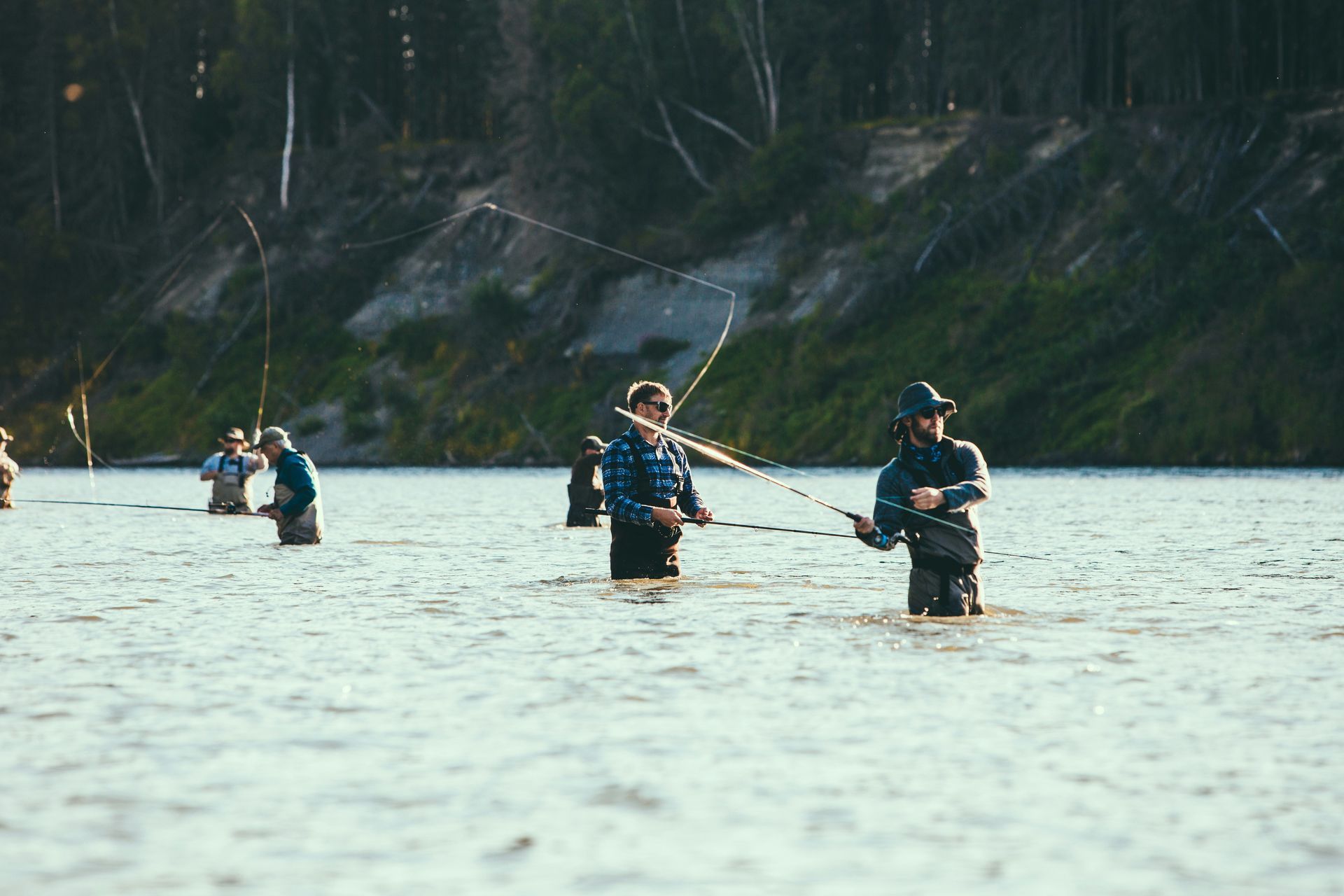 Four anglers wade in a river, fishing with rods in front of a forested shoreline.