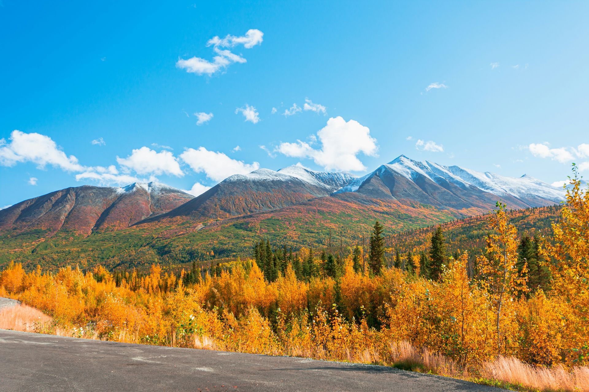 Snow-capped mountains above autumn trees under a bright blue sky.