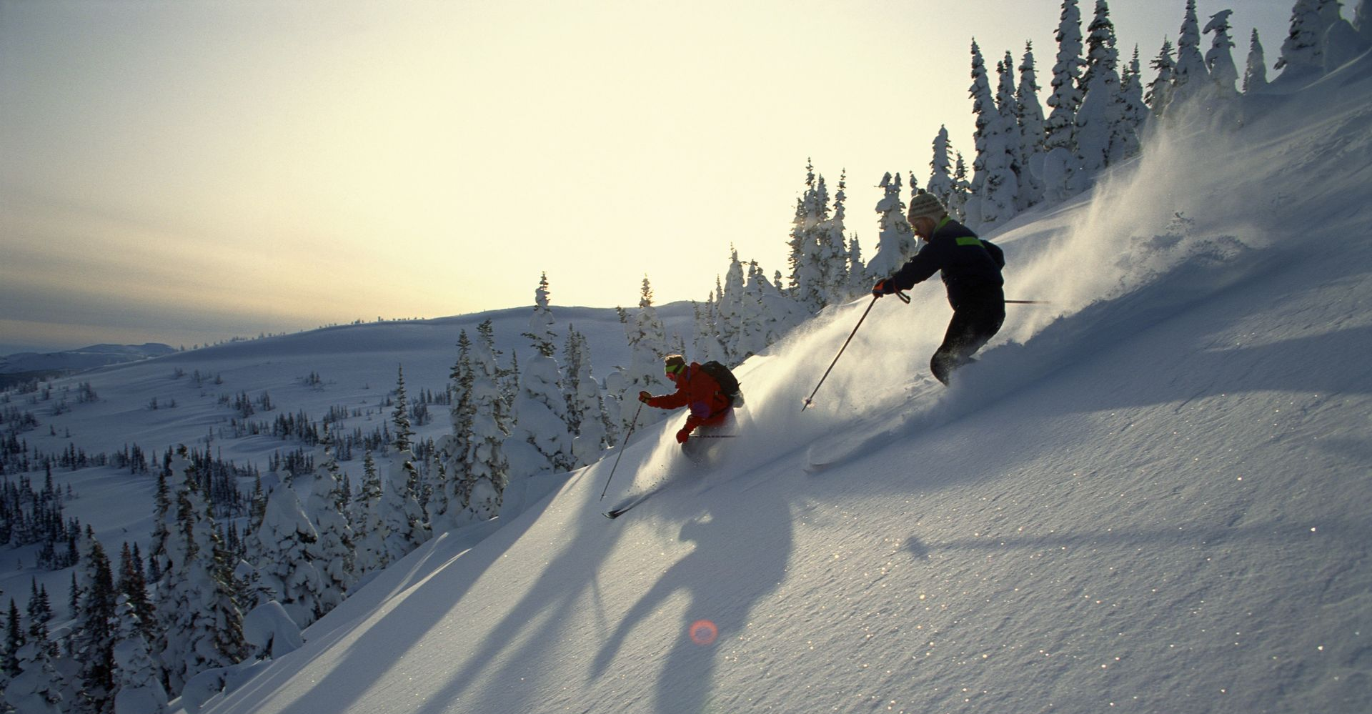 Two skiers carving down a snowy mountain slope at sunset, with pine trees in the background