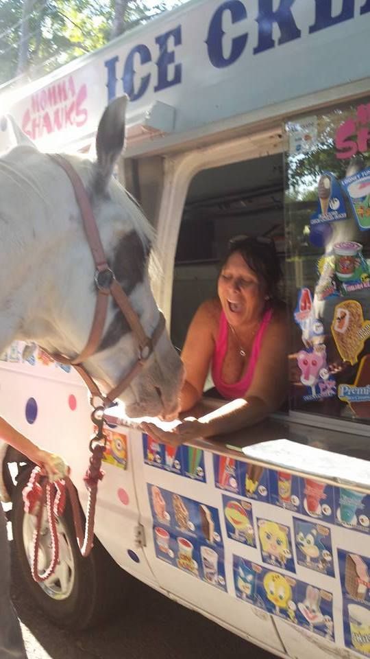 A person in a pink top leans out of an ice cream truck window to offer a treat to a white horse wearing a halter.