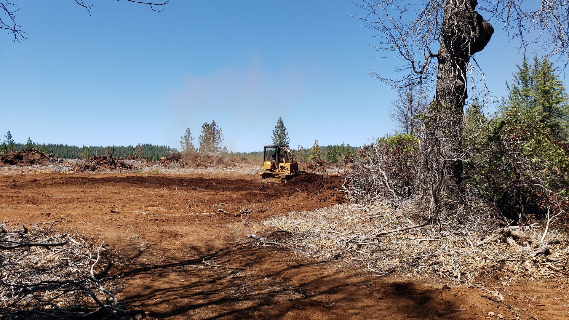 fire prevention land clearing services