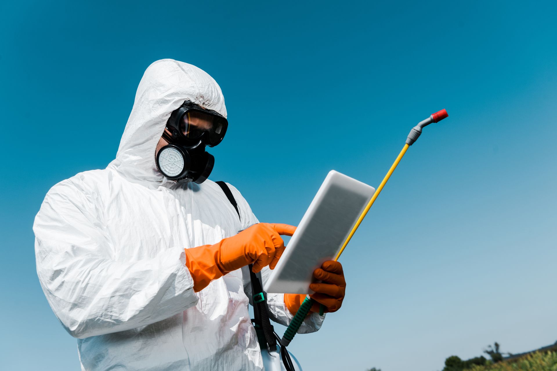 pest control services in Fort McDowell, AZ
