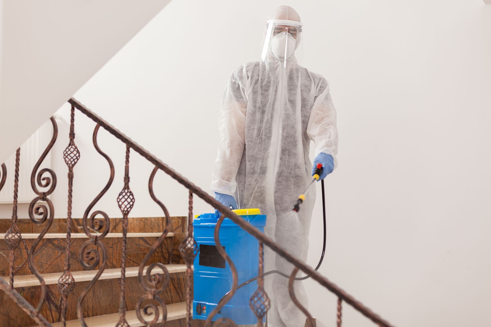 pest control services in Valley Farms, AZ