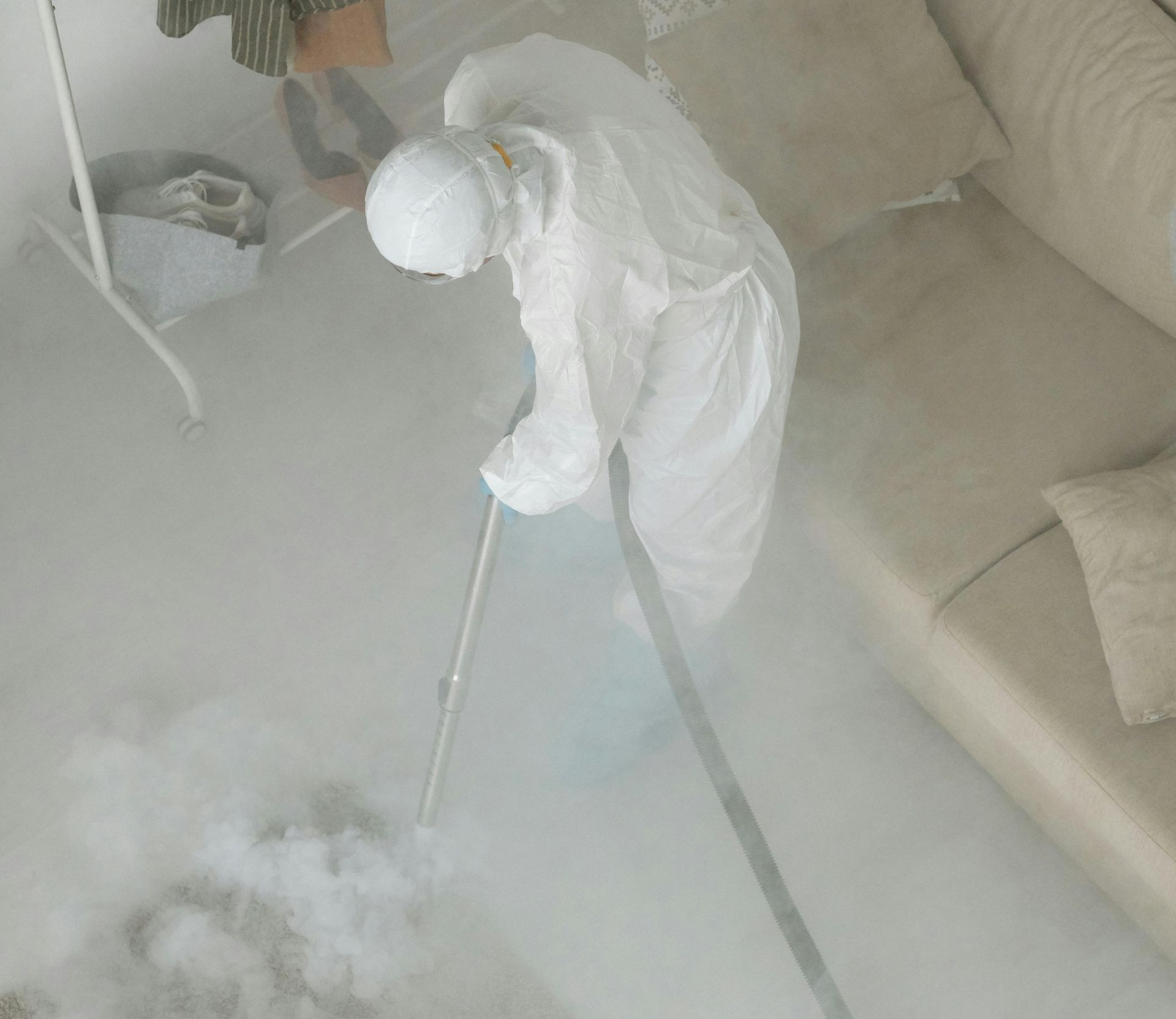 Home Defense Pest Control: The Ultimate Shield Against Common Pests