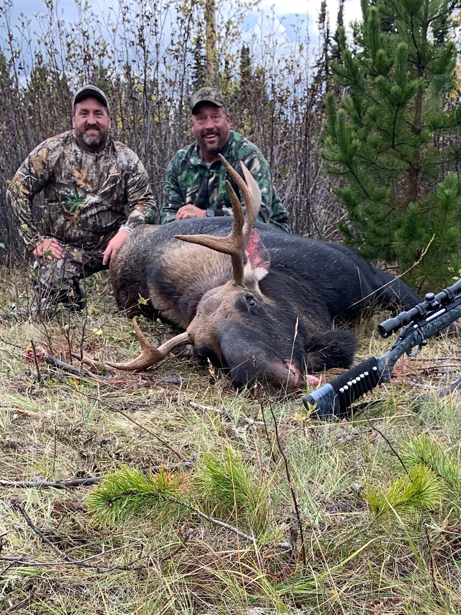 Moose Hunts Alberta Hunting