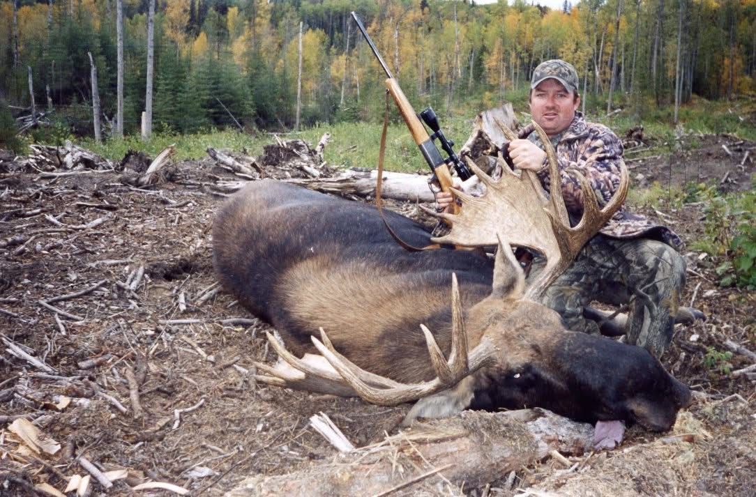 Alberta Canada Moose Hunting Outfitter