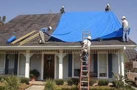 Roofers installing a blue tarp on a house with damaged roof.
