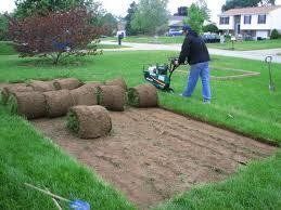 Person rolling out sod with a machine on a lawn. Rolls of sod are nearby.
