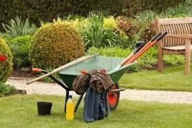 Wheelbarrow filled with gardening tools in a garden.