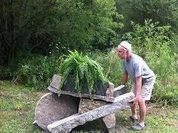 Man pushes a stone wheelbarrow filled with a fern in a grassy outdoor area.