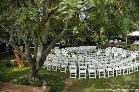 White chairs arranged in concentric circles under a large tree, for an outdoor event.