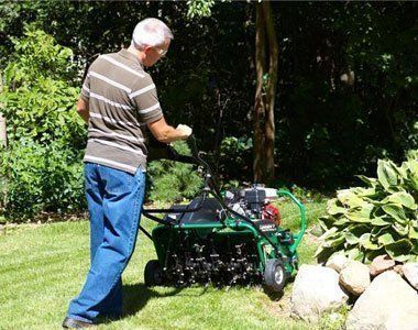 Man aerating lawn with a machine; green grass, bushes, and trees in background.