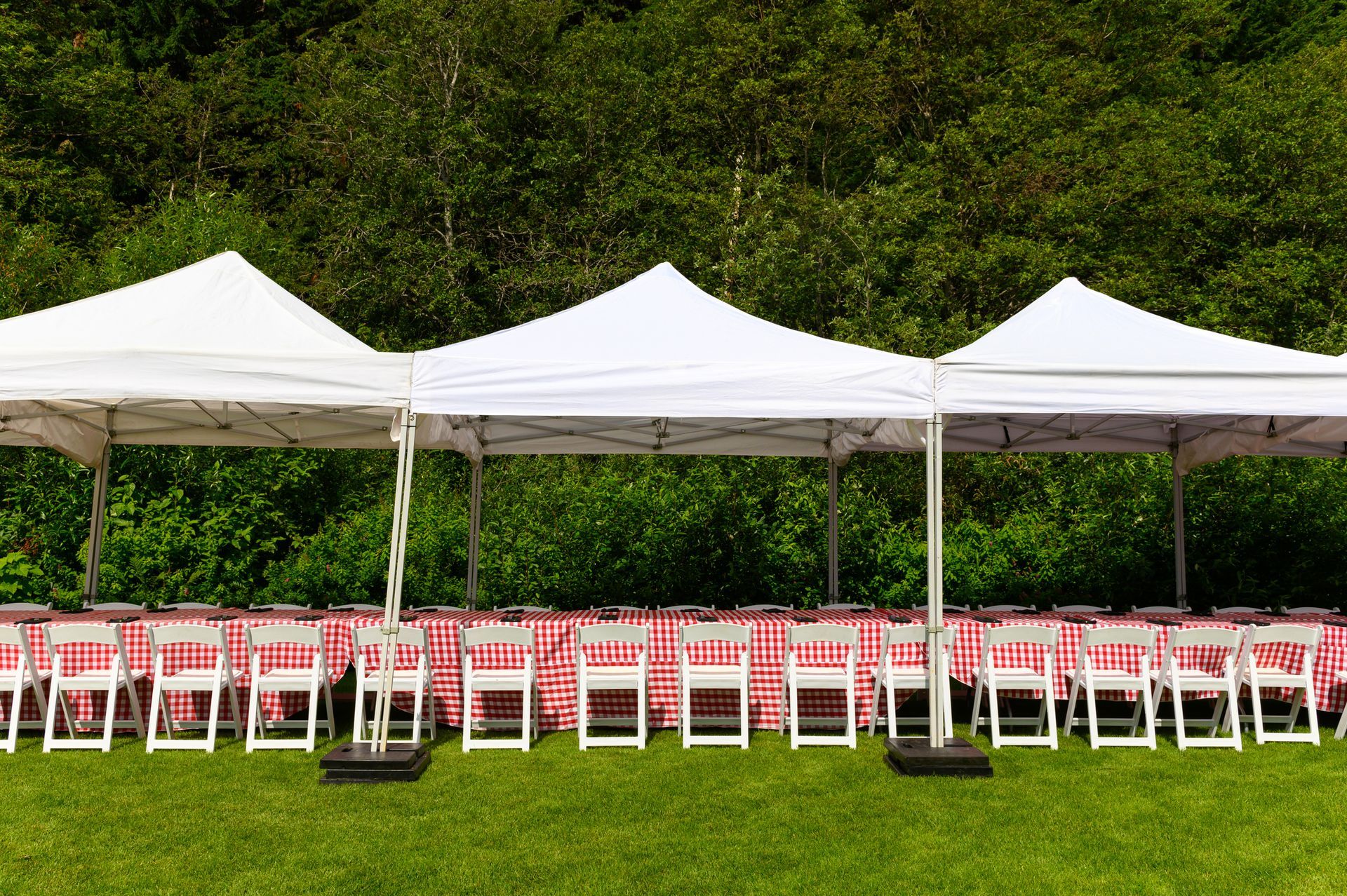 Outdoor picnic set up with table, chairs and table cloth for outdoor events| Caboolture 