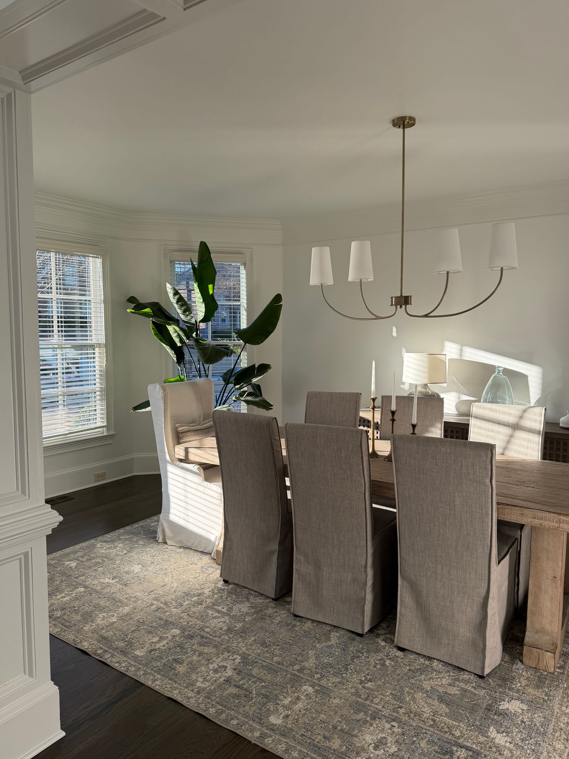 Dining room with large table, chairs, rug, chandelier, and a large plant near a window.