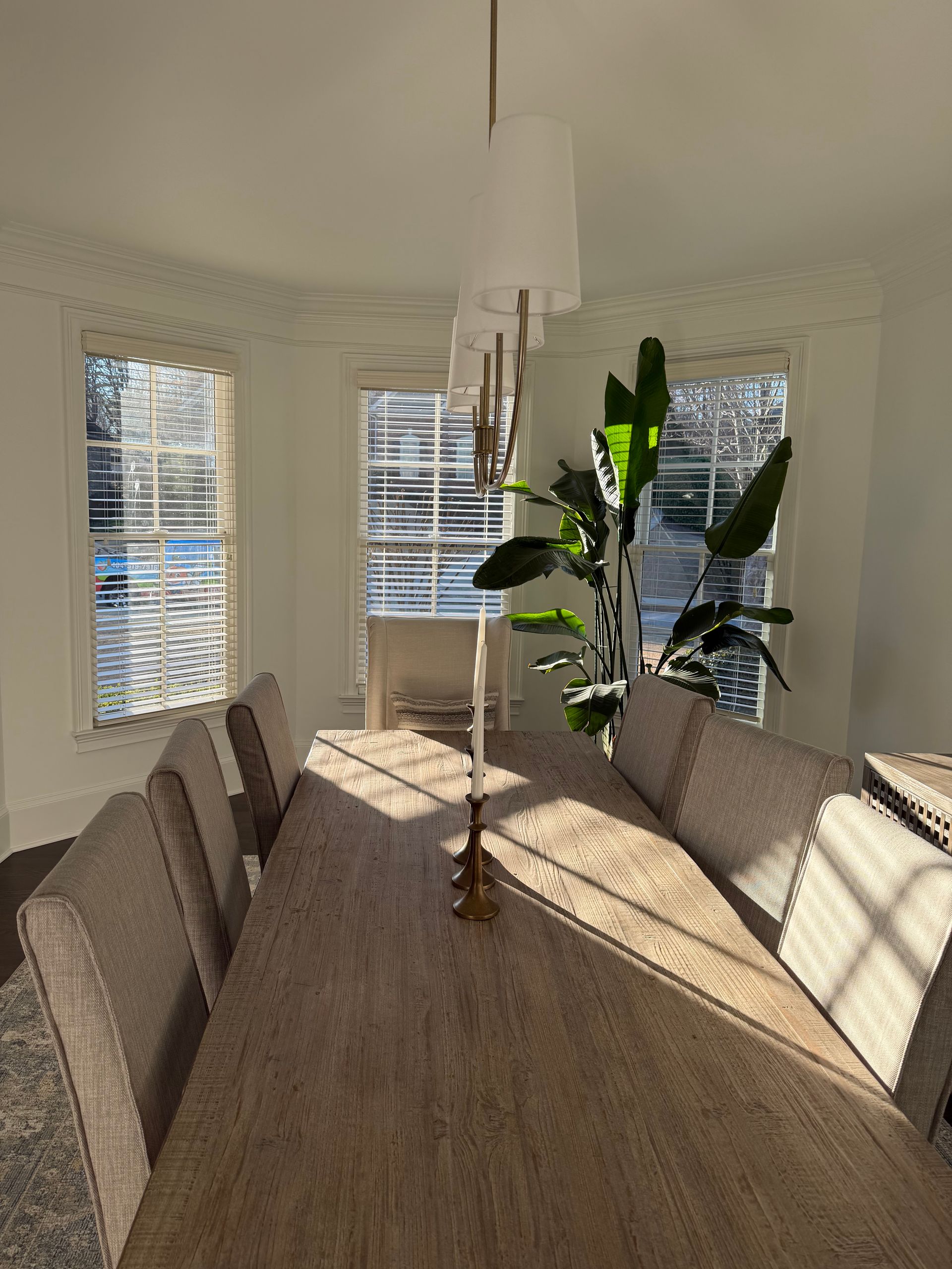 Dining room with long wooden table, chairs, windows, and a large plant. Sunlight streams in.