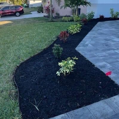 Black mulch with assorted plants bordering a driveway and lawn.