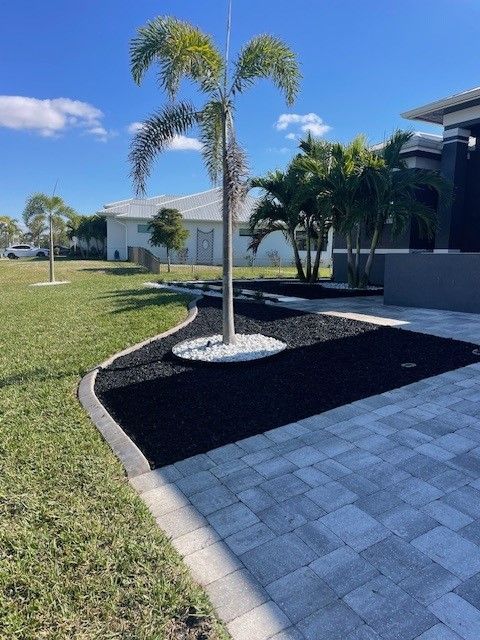 Landscaped yard with palm tree, black mulch, white rocks, and gray pavers.