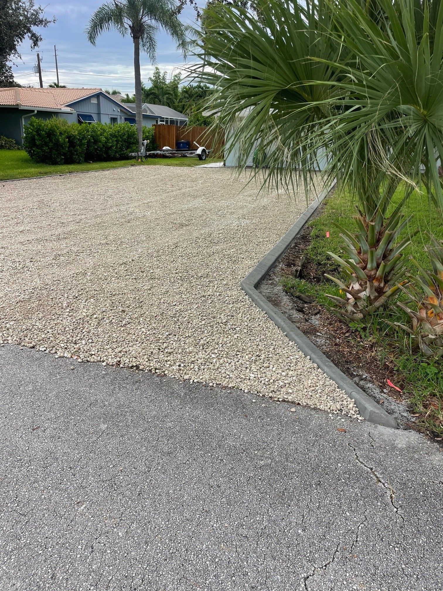Gravel driveway beside a palm tree and shrubs in a sunny suburban yard