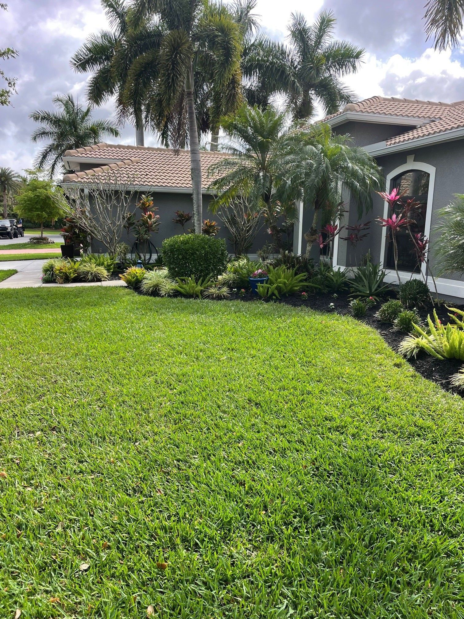 A lush green lawn in front of a gray house with a tiled roof, surrounded by tropical landscaping and palm trees.