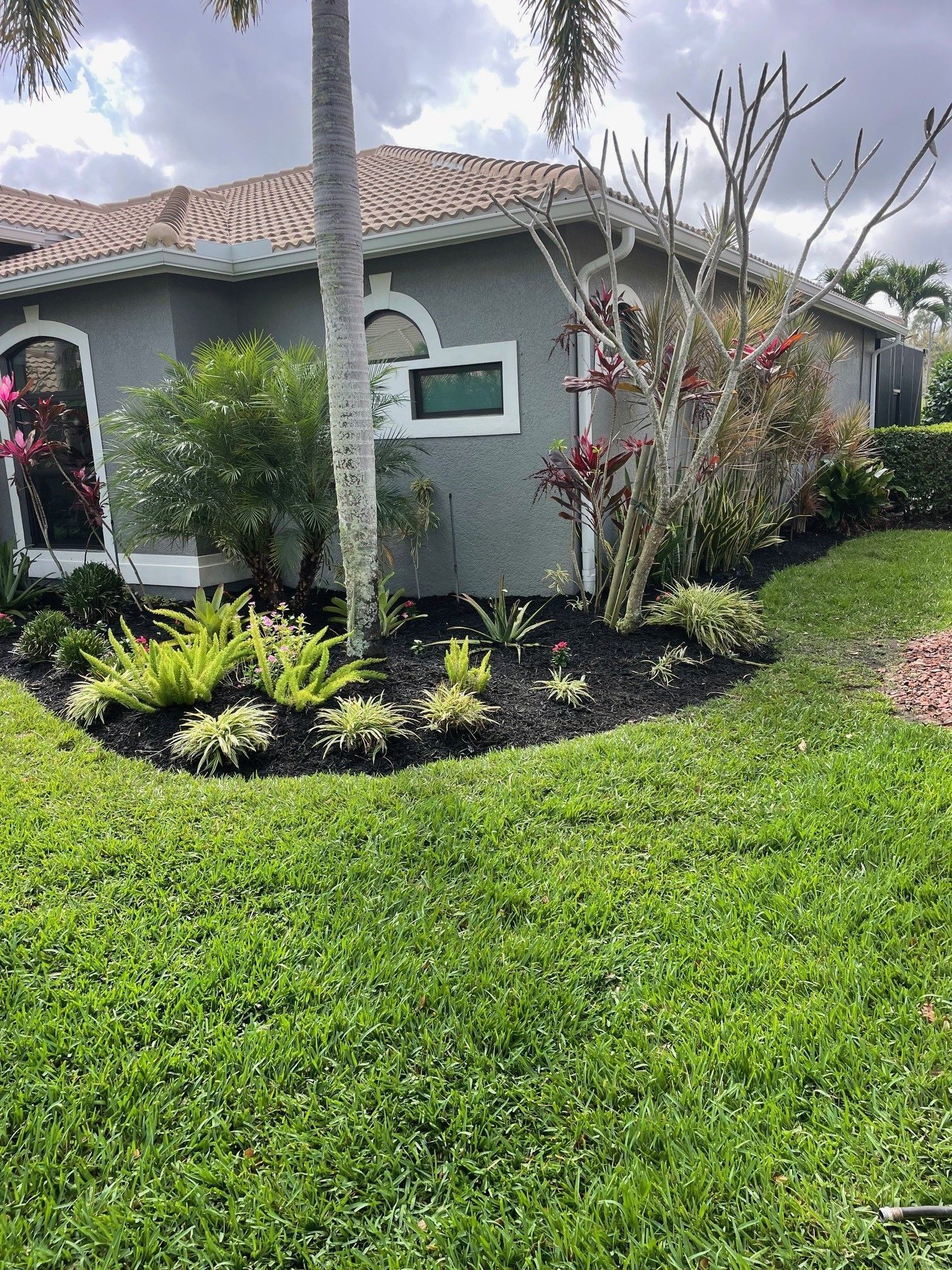 A gray house with a landscaped garden featuring dark mulch, various green plants, and a small palm tree.