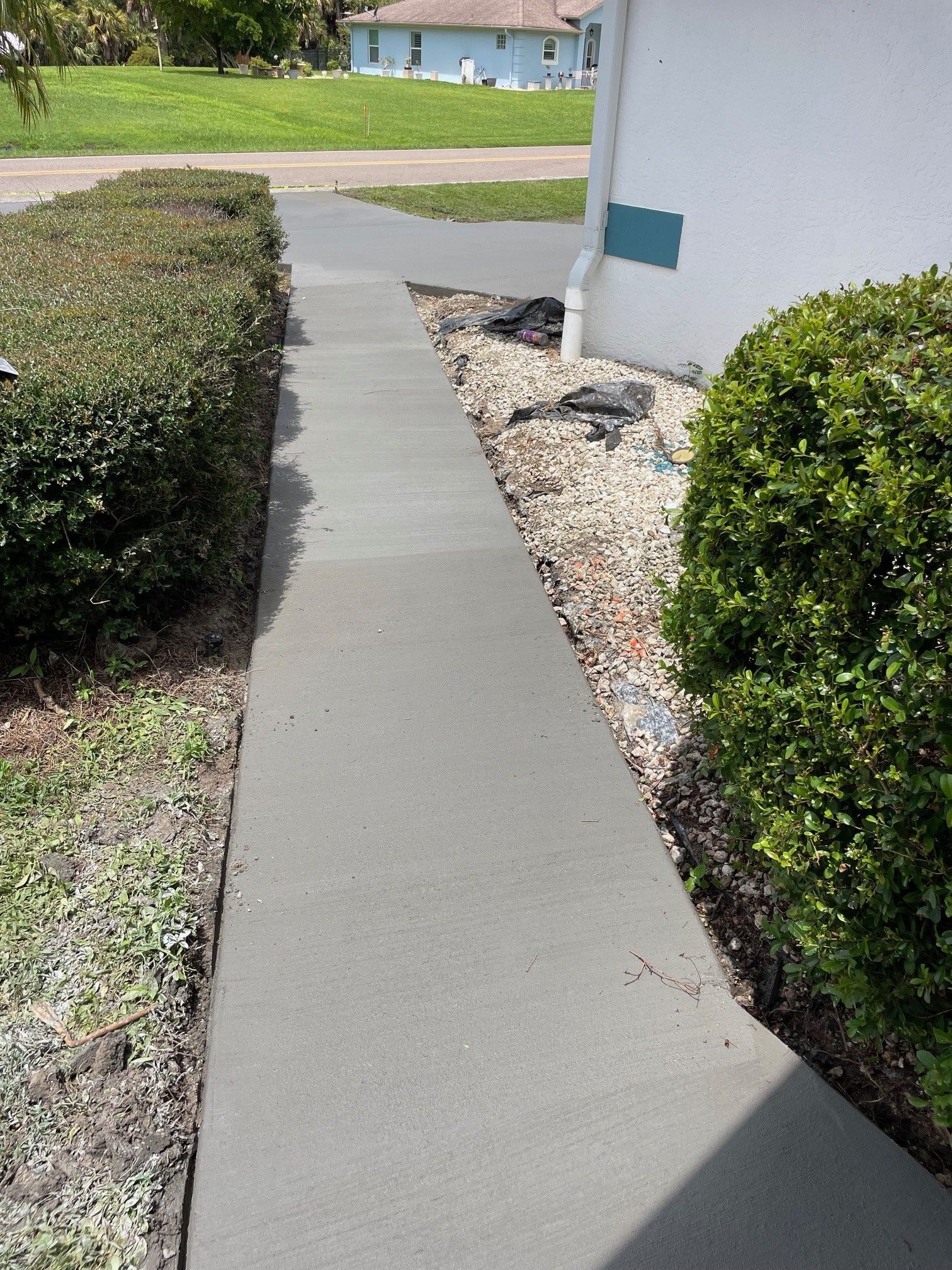 Concrete sidewalk between trimmed hedges leading past a house wall in a sunny suburban yard