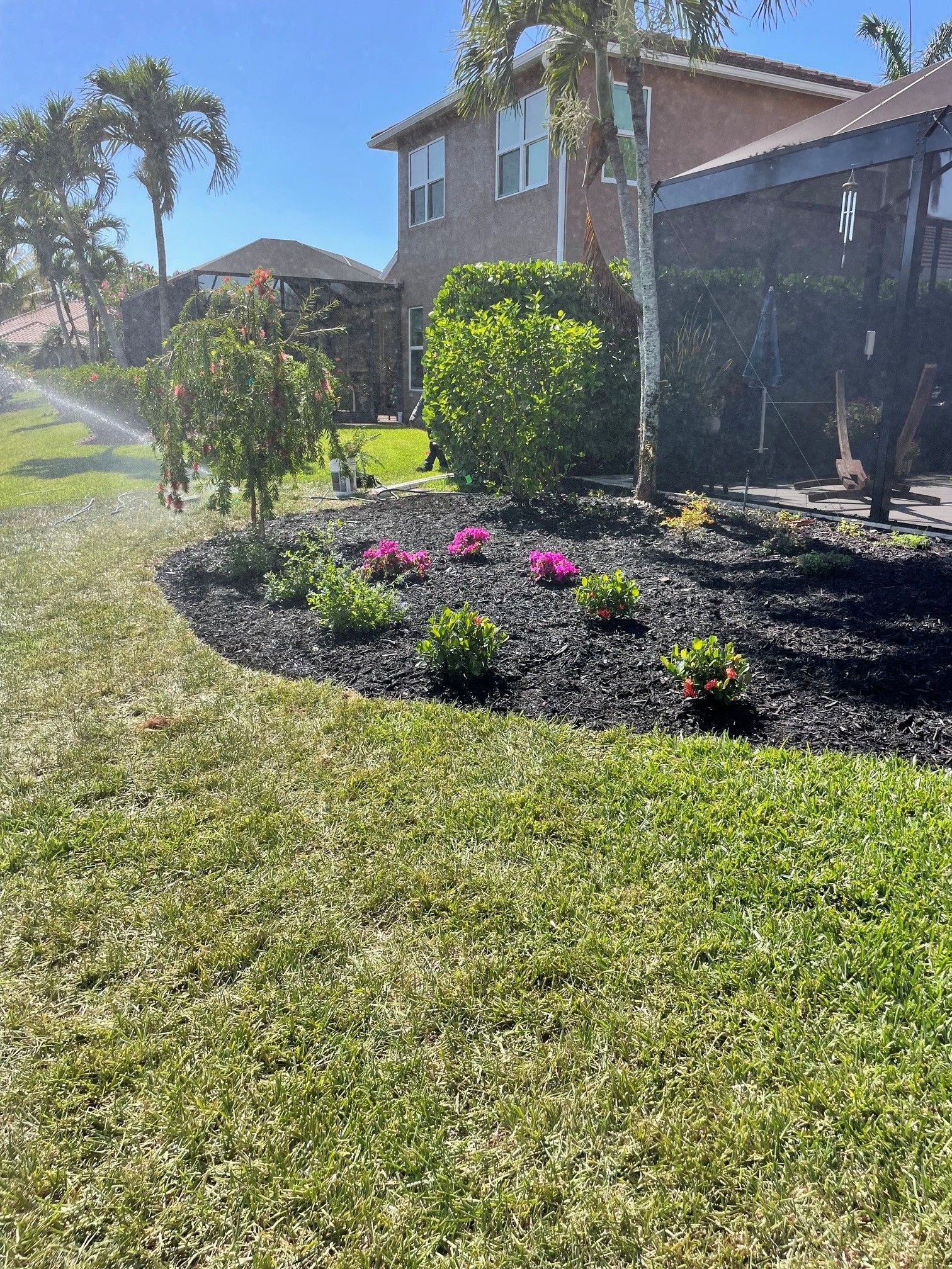 Suburban front yard with a landscaped flower bed of pink blooms beside a brick house in bright sun