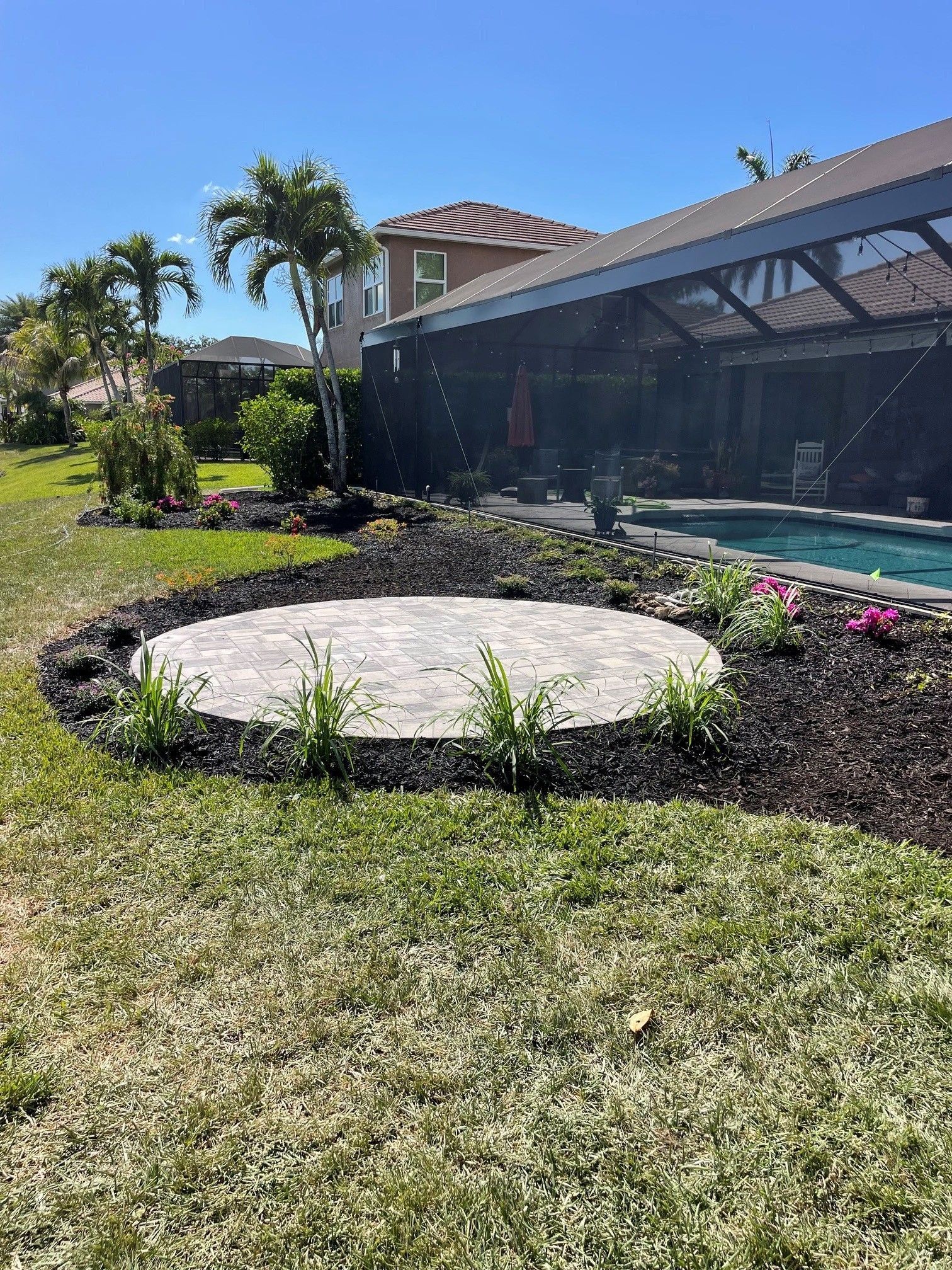 Backyard pool area with a round concrete pad, green lawn, palm trees, and a screened enclosure