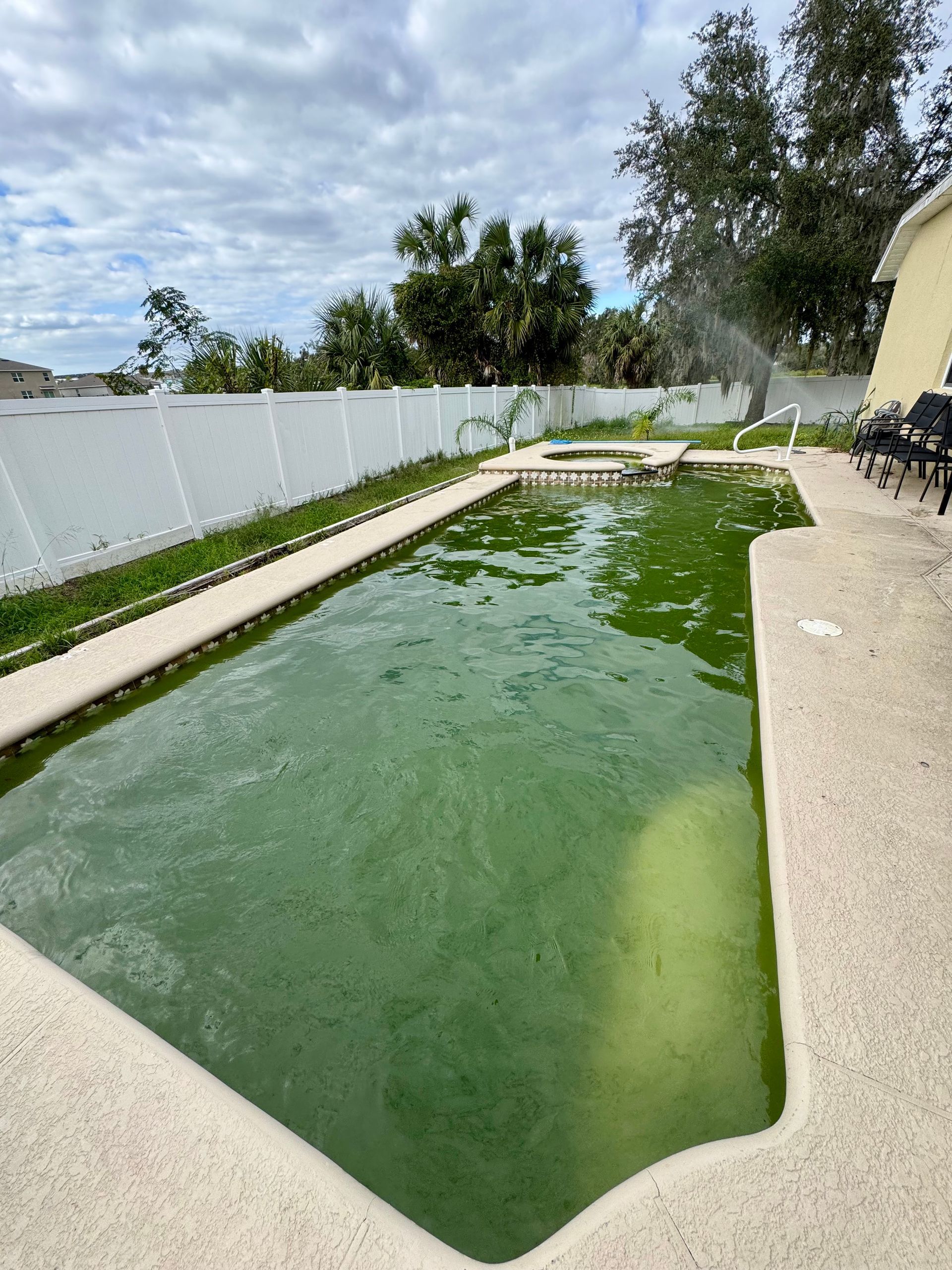A swimming pool with a lot of green algae in it.