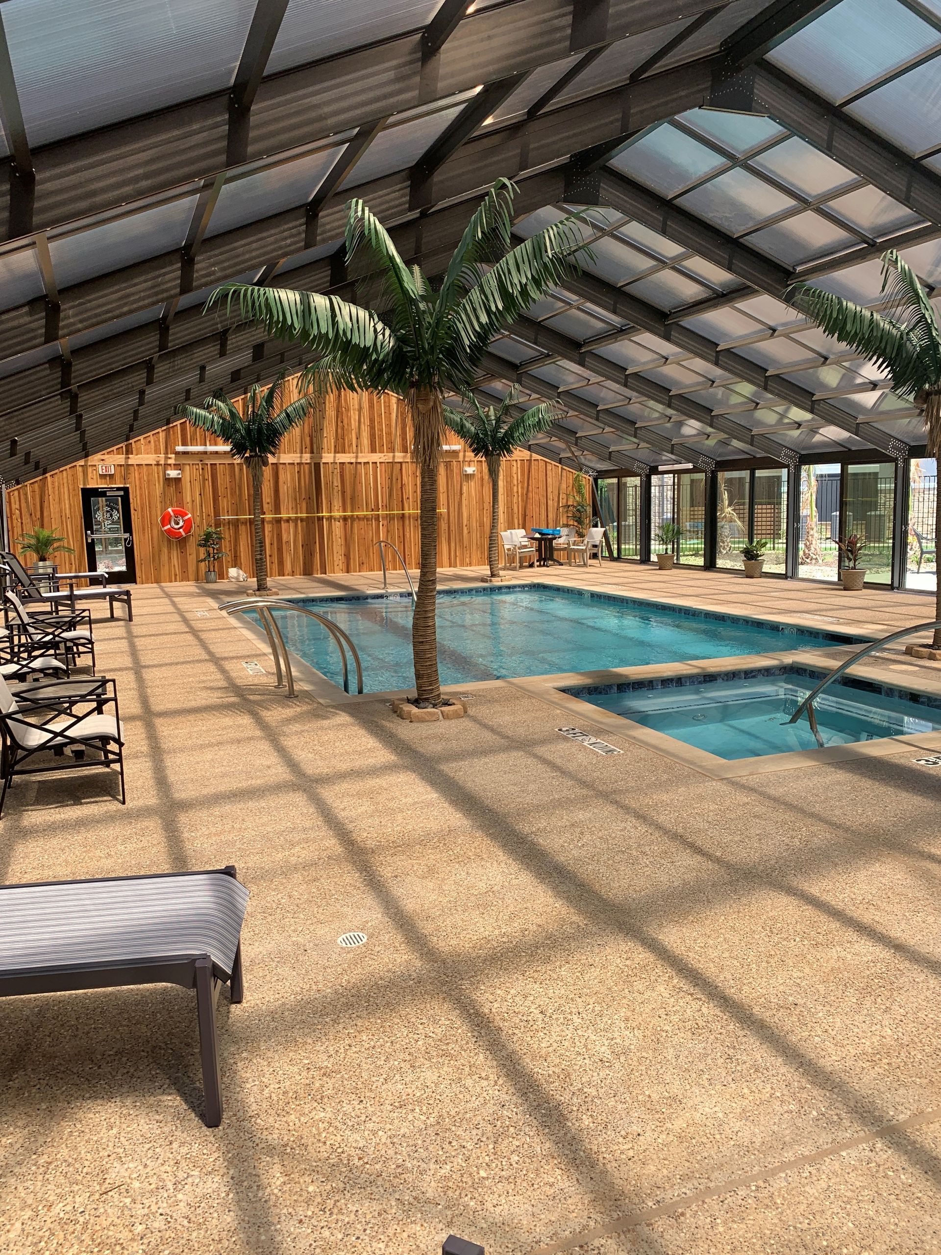 Indoor pool under a metal-roofed enclosure with lounge chairs, palm tree, and sunlight through the windows