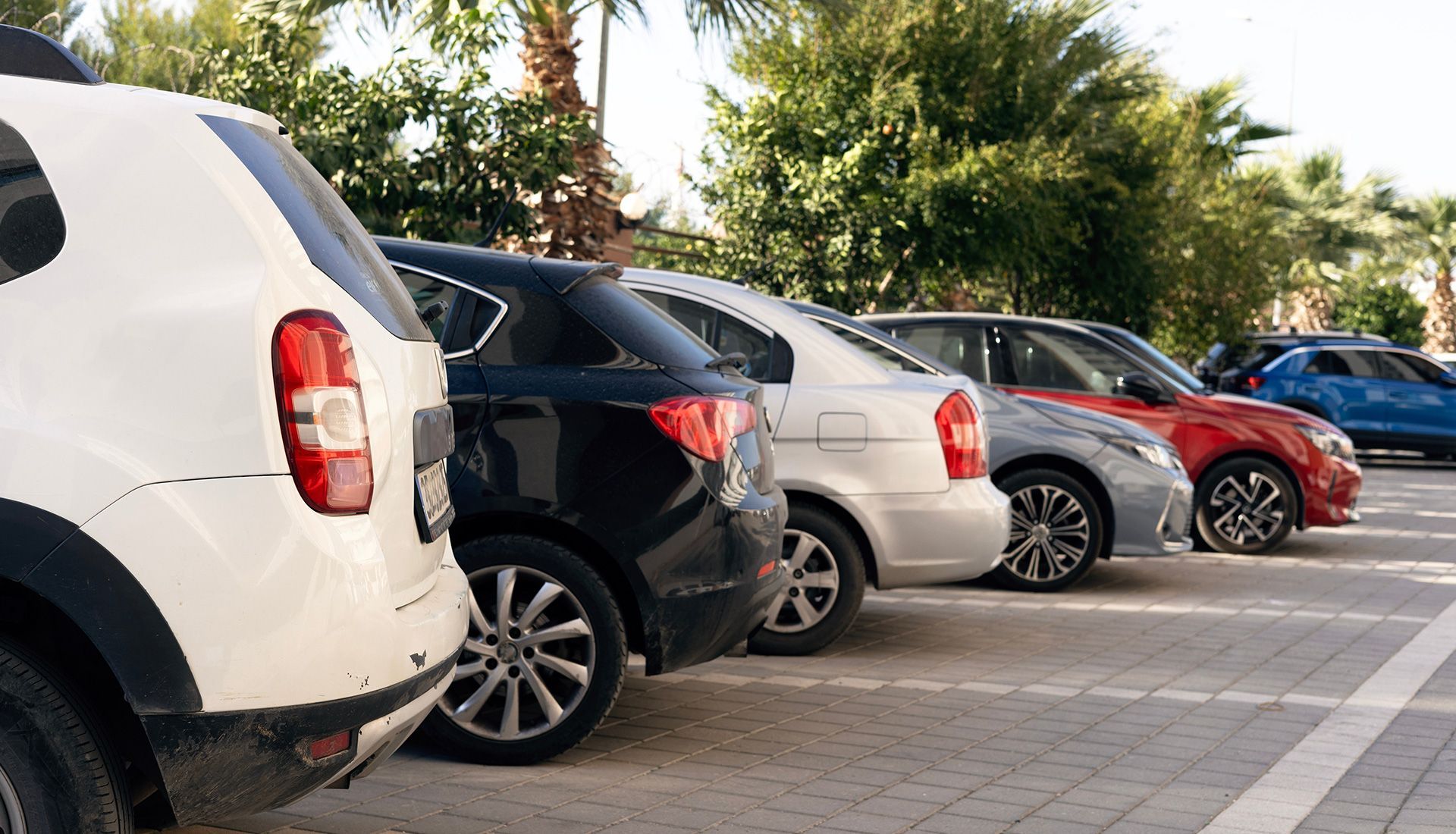 Cars parked in a row, including white, black, silver, and red vehicles, near trees and palms.
