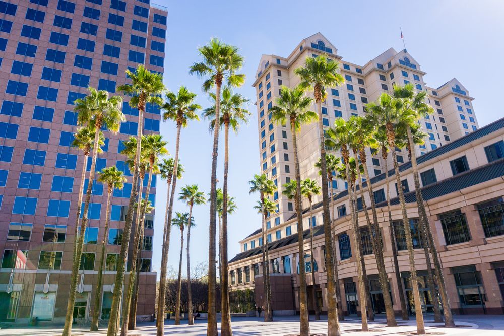 Palm-lined urban plaza with modern office buildings and clear blue sky