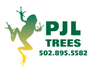 PJL TREES PJL TREES