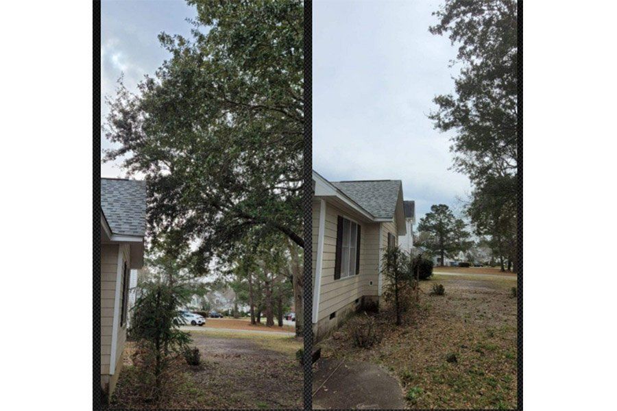 tree trimming wilmington nc