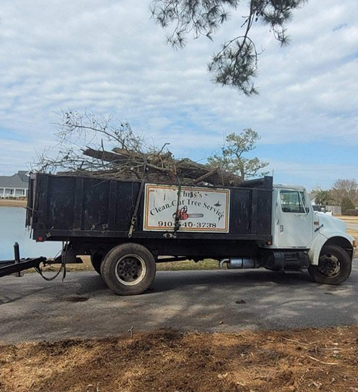 tree service Wilmington nc