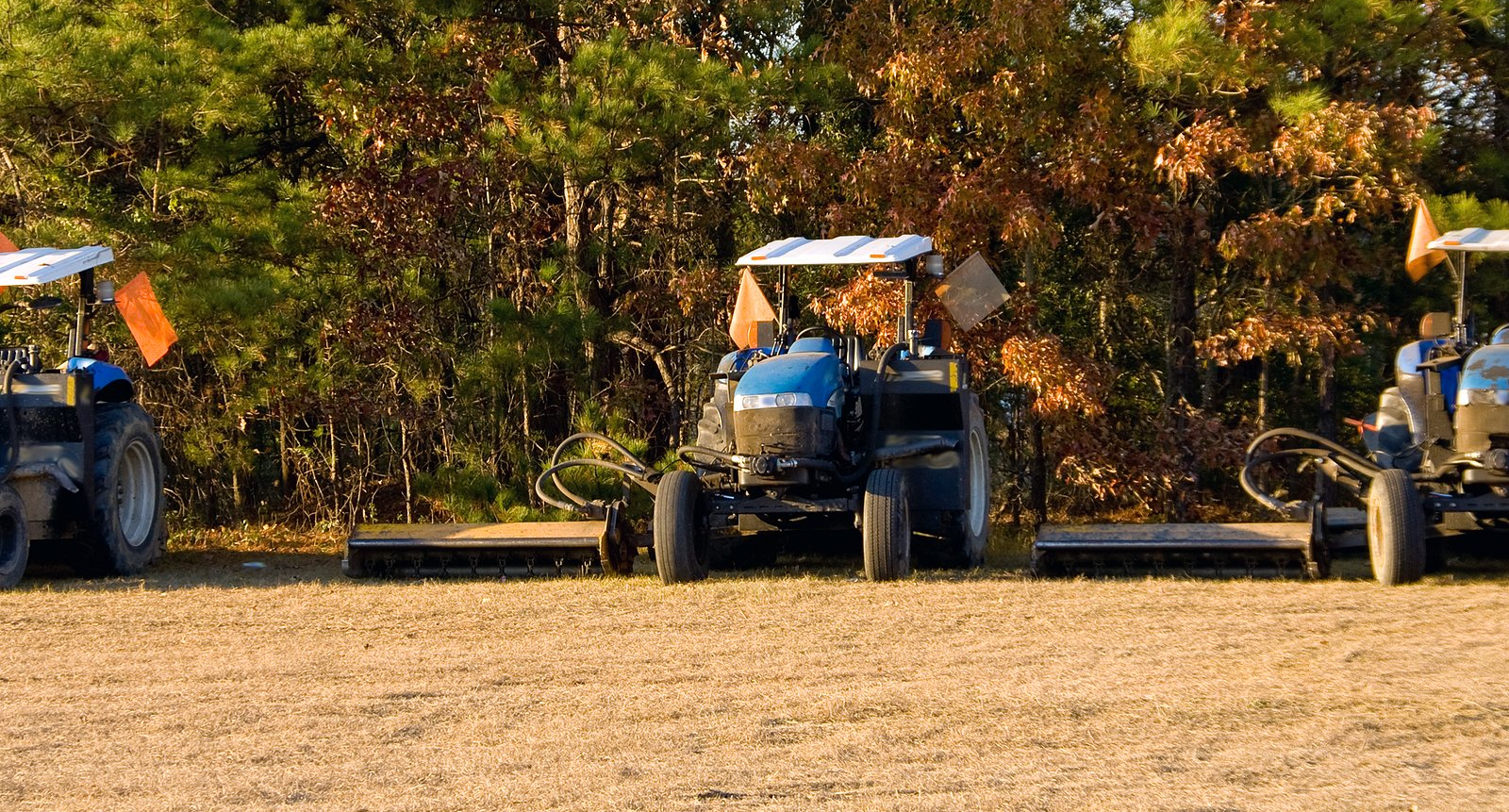 Quality Bush Hogging in Wilmington, NC Quality Bush Hogging in Wilmington, NC