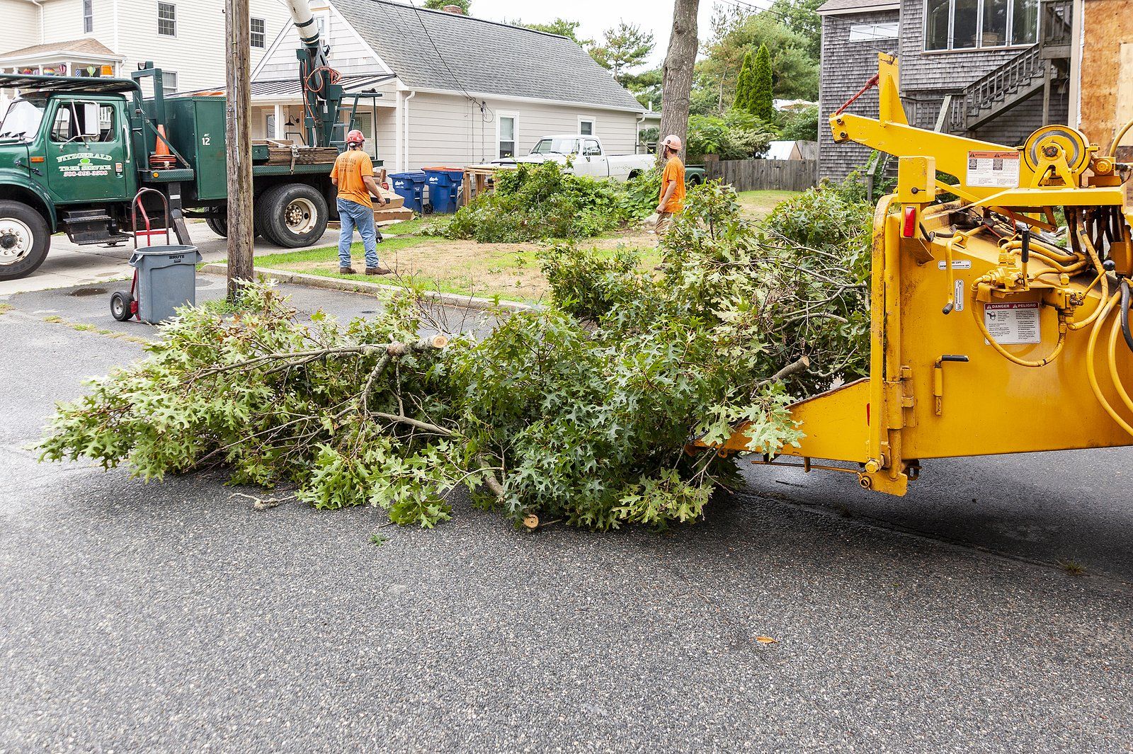 Debris Cleanup Services Near You