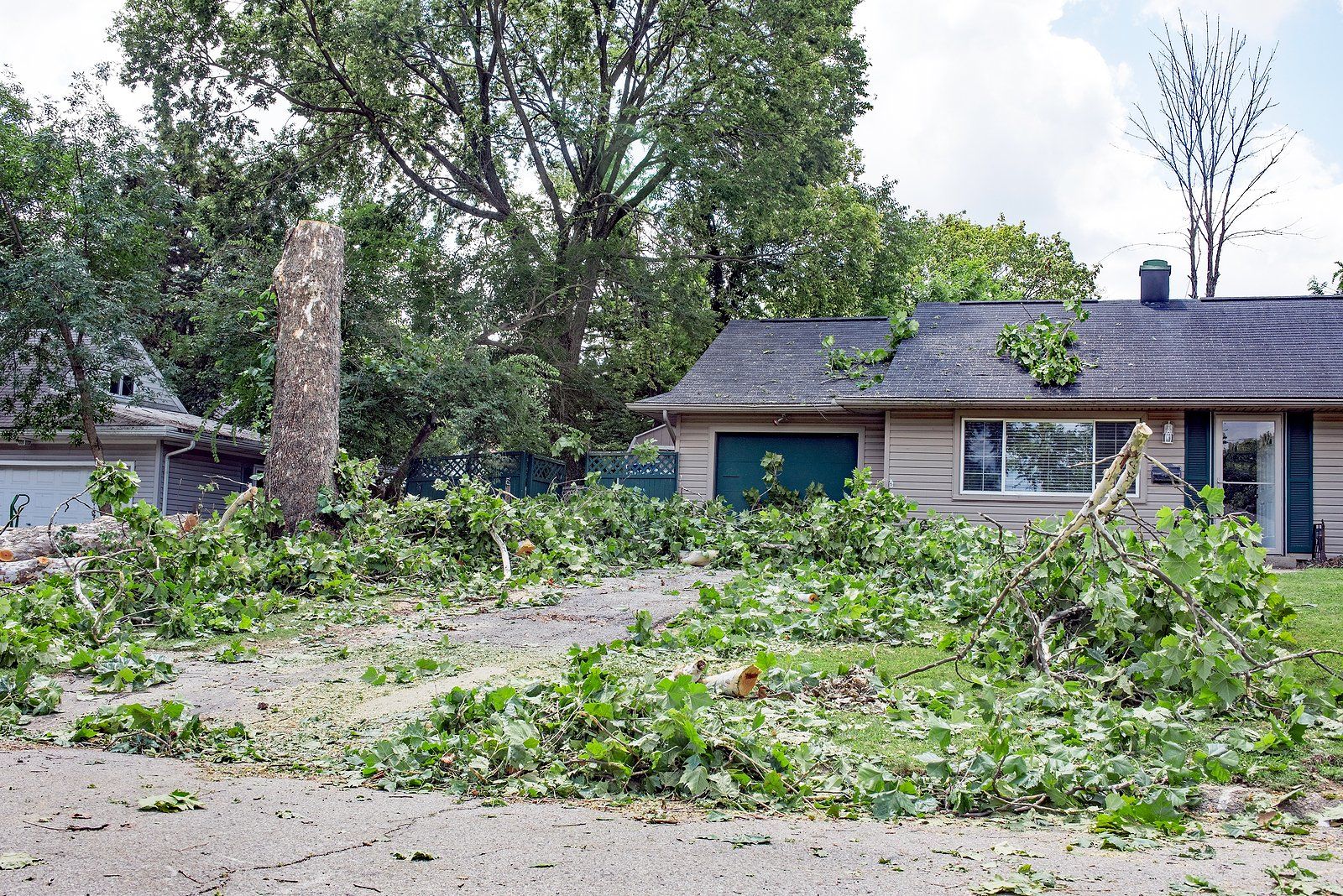 Debris Cleanup Services Near You