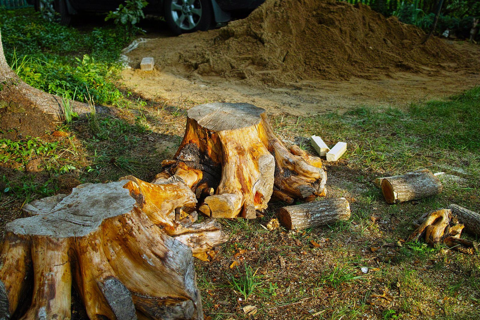 Stump Removal Services in Wilmington, NC Stump Removal Services in Wilmington, NC