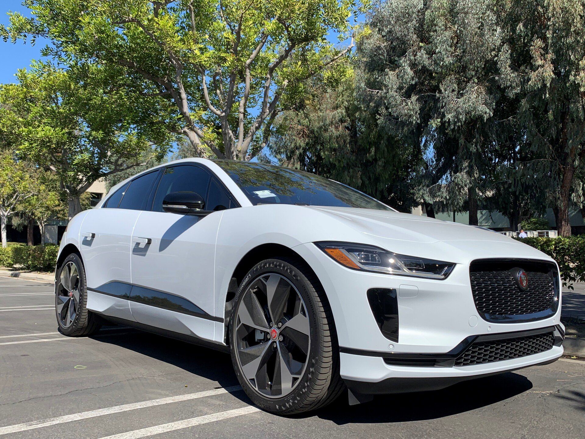White Tesla  | Fountain Valley, CA | Rodz Tint Shop