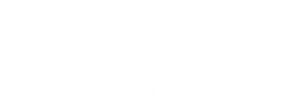 Blank white rectangle with a thin black border