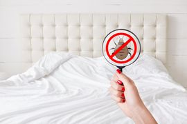 Hand holding a crossed-out bed bug icon over a white bed and headboard