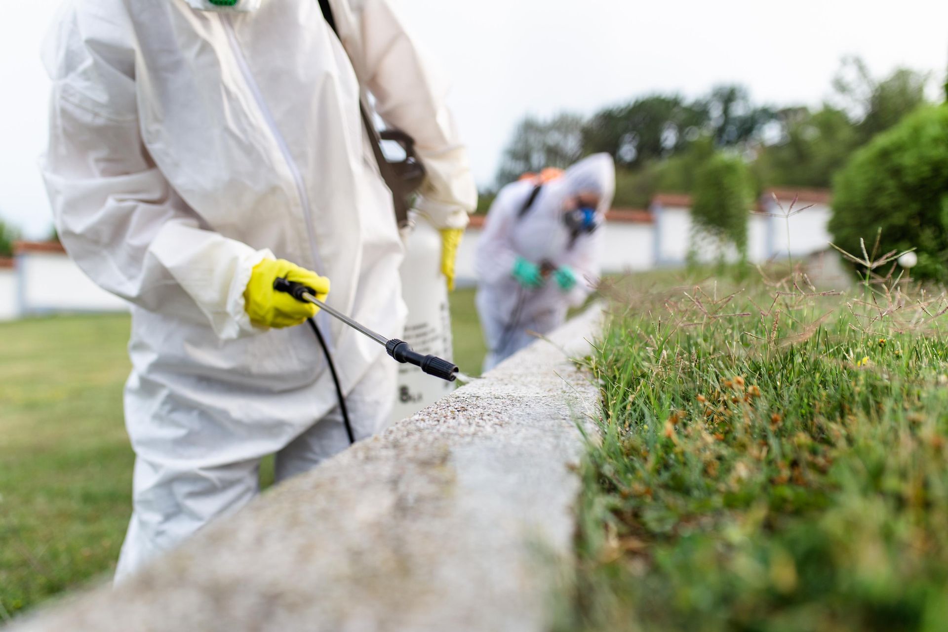 Workers in protective suits spraying weeds along a concrete curb outdoors