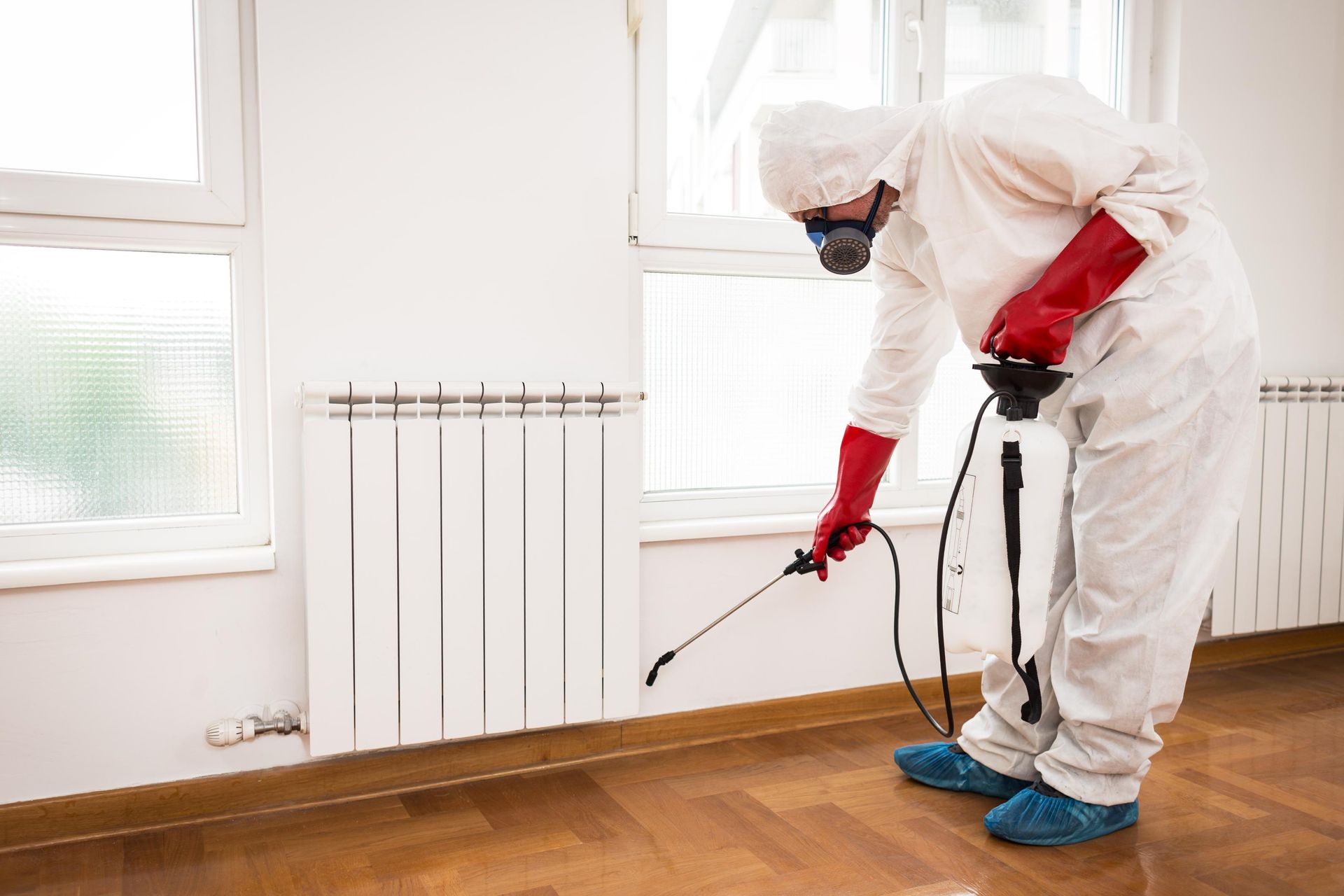 Worker in white protective suit spraying pesticide along a room’s baseboard near a window and radiator