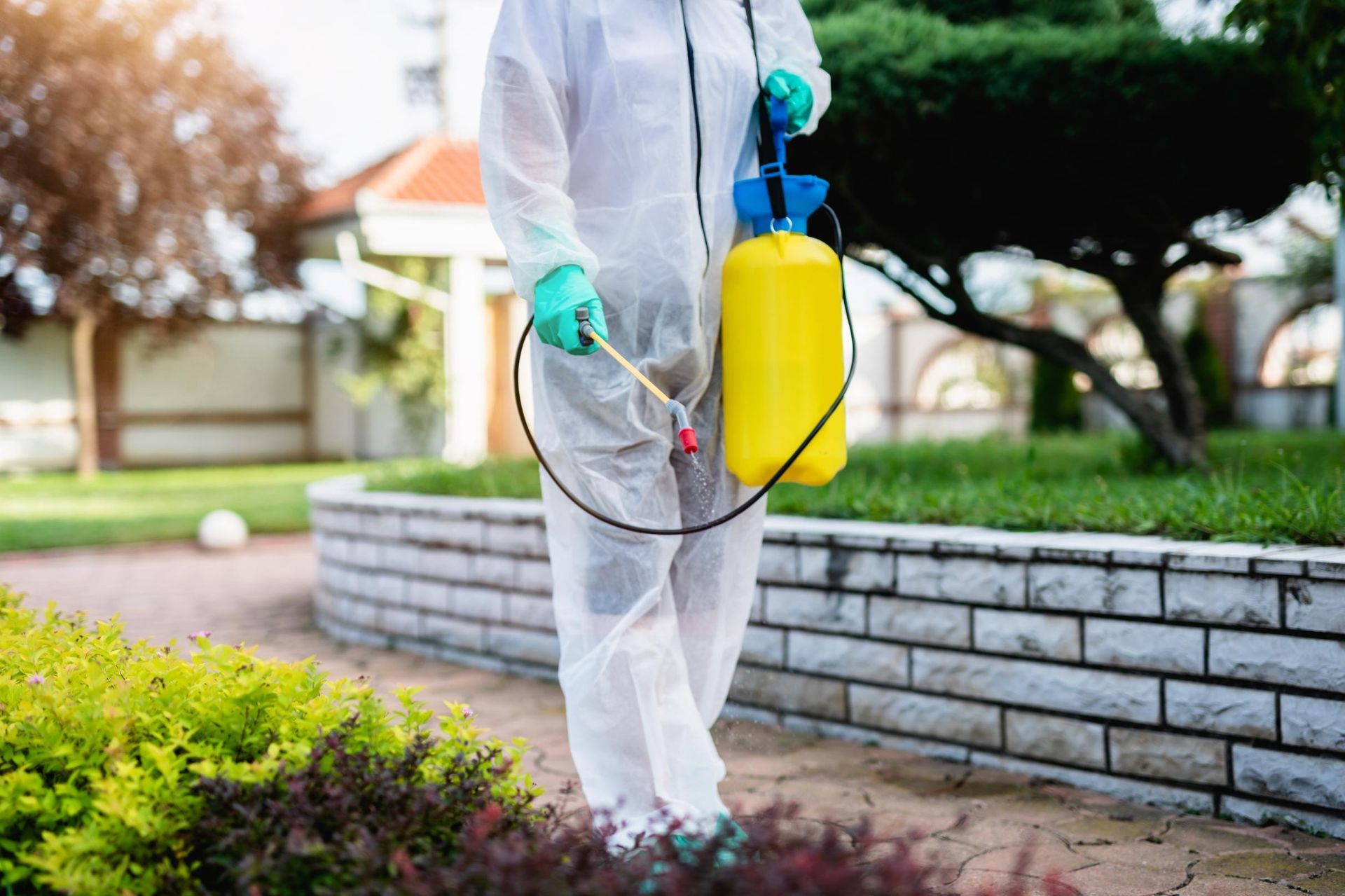 Worker in protective suit spraying pesticide beside a landscaped garden and stone border.
