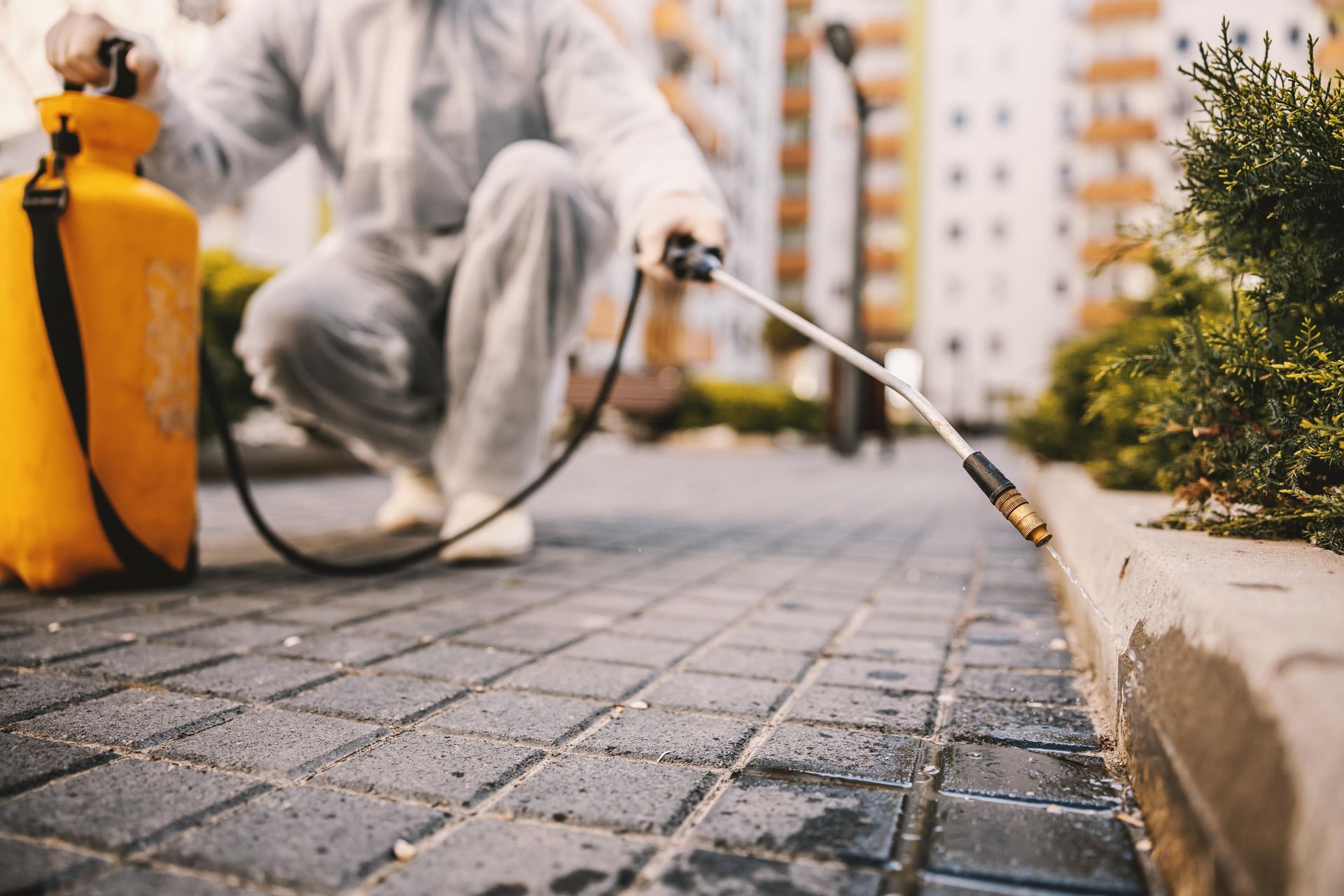 Worker in protective suit spraying weed killer along a curb beside a sidewalk and yellow tank