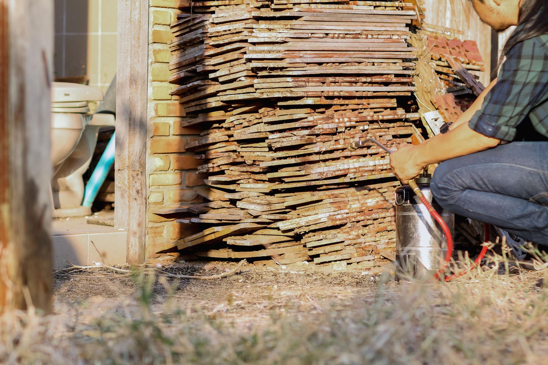 Person stacking firewood beside a wooden shed outdoors